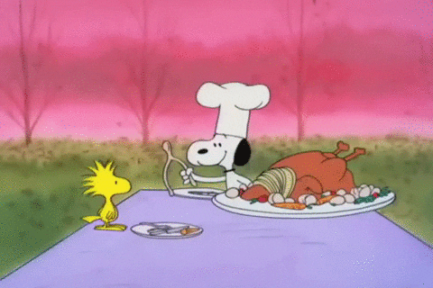 Snoopy Charlie Brown GIF by Peanuts - Find & Share on GIPHY