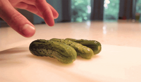 Pickle GIF Find Share On GIPHY