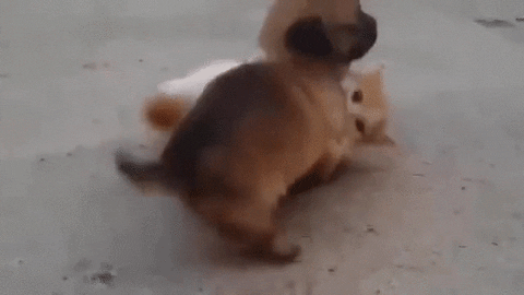 Stress GIF - Find & Share on GIPHY