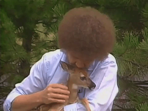 Man petting a baby deer