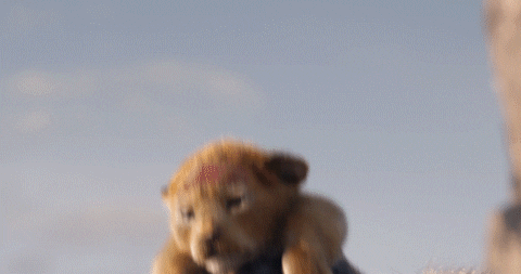 lion king soul disney pixar
