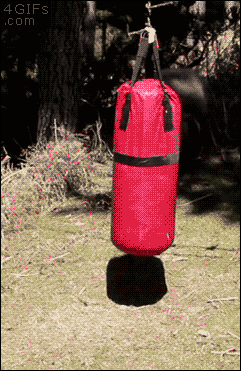 Training Goat GIF