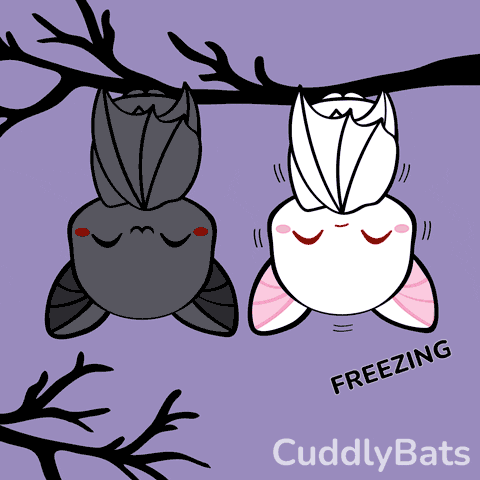 GIF of two cartoon bats, one black and one white, hanging upside down on a black tree branch set against a purple background with the text "CuddlyBats" in the bottom right corner. At the beginning of the looped moving image, the white bat shivers with the word "FREEZING" next to it. The black bat notices the white bat shivering with huge concerned eyes, then unfurls its wings to cover the white bat. The white bat smiles in thanks and a small heart trickles down from the white bat's head. The two bats smile in unison with closed eyes. 
