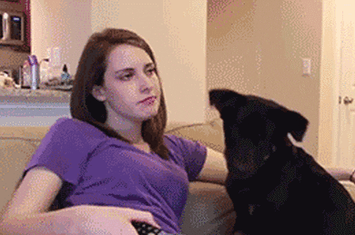 Dog GIFs - Find & Share on GIPHY