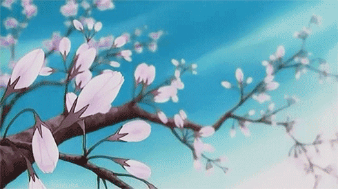 Japanese last names, tree blossoming
