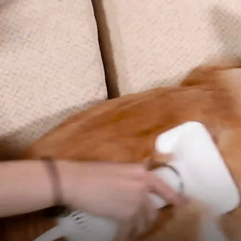 Cepillo Secador para Mascotas – SHAORA