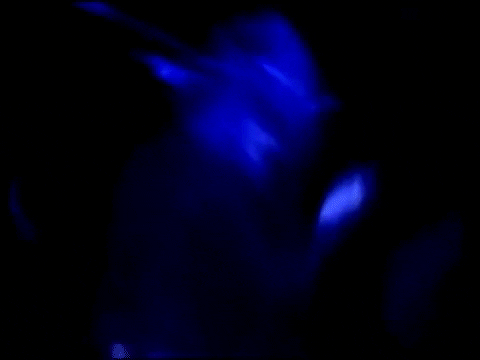 Stevie Nicks GIF - Find & Share on GIPHY