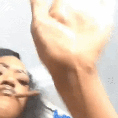 giphy.gif