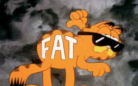 Garfield Reaction GIF