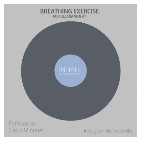 Breathing Exercise GIFs Get The Best GIF On GIPHY
