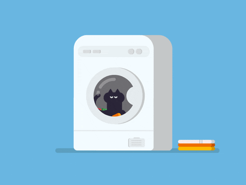 mačka v pralnem stroju