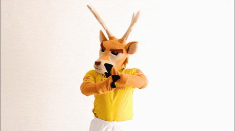 No Way Yucatan GIF by Venados FC