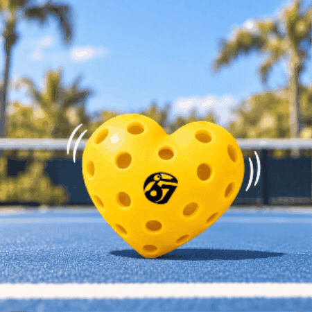 TOCO67 Pickleball GIF 8aRJJrnz8JCl5W3Zst