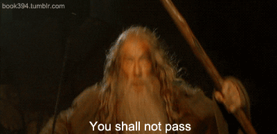 You Shall Not Pass Gif 5