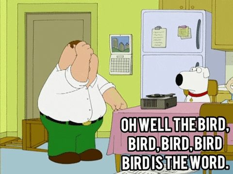 Family Guy Bird Is The Word GIF
