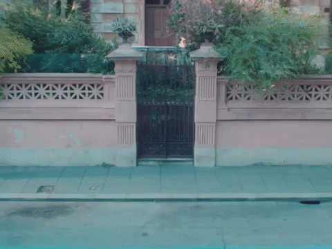 Animated GIF