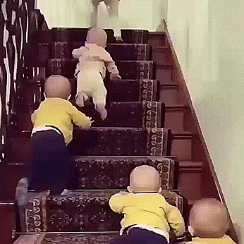 quadruplets crawl up a staircase as older sibling watches from the top