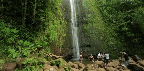 Hawaii GIF - Find & Share on GIPHY