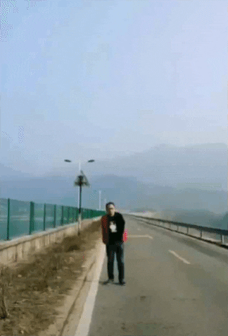 giphy.gif