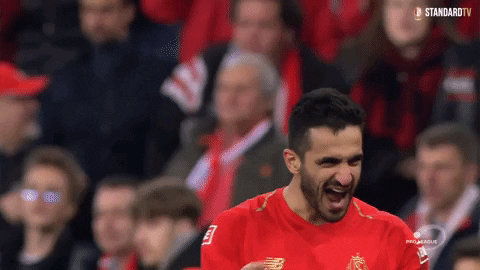 Happy Football GIF by Standard de Liège