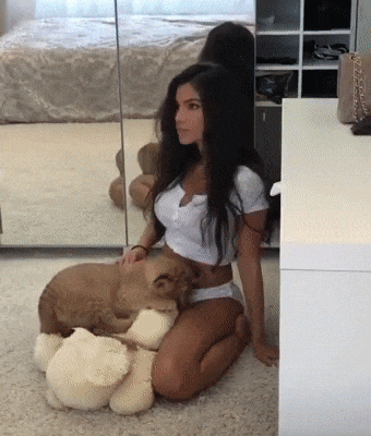 giphy.gif