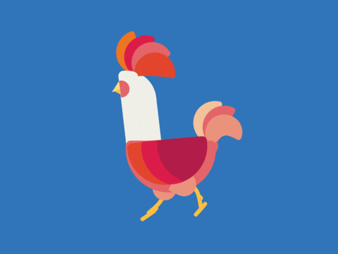 Chicken Walk GIF - Find & Share on GIPHY