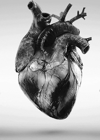 Black And White Heart GIFs - Find & Share on GIPHY