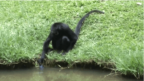 Sip Happens GIFs - Find & Share on GIPHY