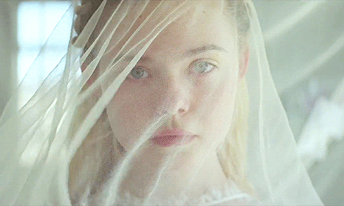 Elle Fanning Veil Find And Share On Giphy