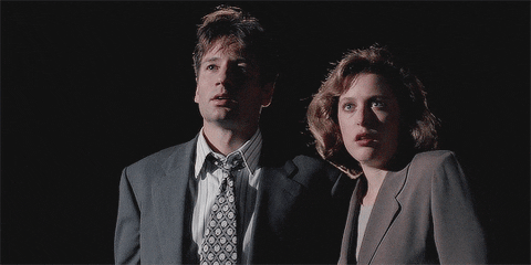  x files mulder scully GIF