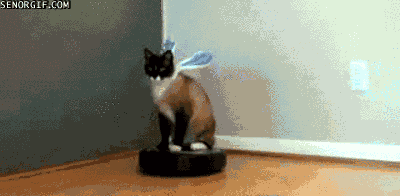 Cat Robot GIF