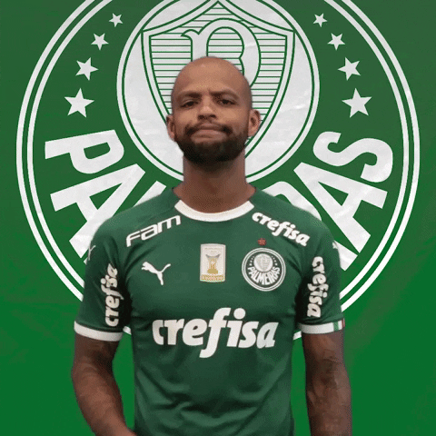 Felipe Melo Soccer GIF by SE Palmeiras