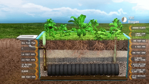 Animated GIF - Find & Share on GIPHY