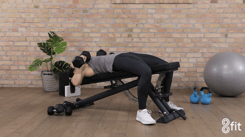 At Home Workout GIF by 8fit - Find & Share on GIPHY
