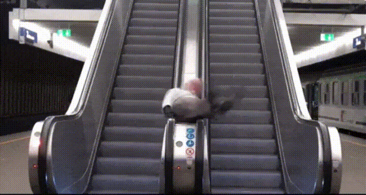 Image result for escalator accident gif