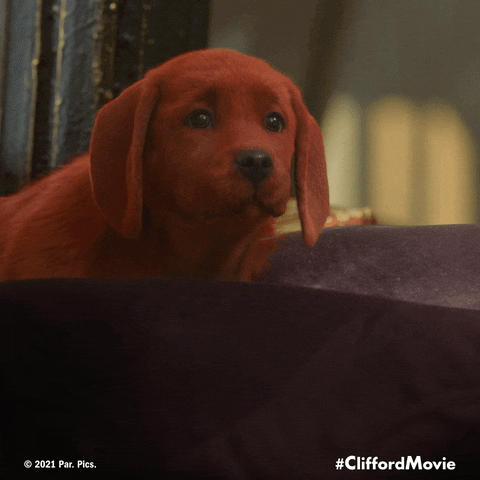 Dog GIF by Clifford Movie - Find & Share on GIPHY