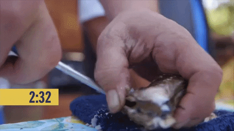 Hack My Life Hml402 GIF by truTV