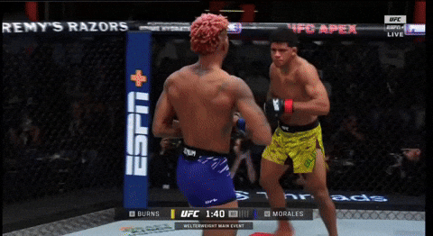 giphy.gif