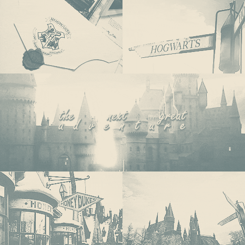 Harry Potter GIF Find & Share on GIPHY