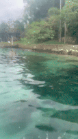 ilha do pescador paraty