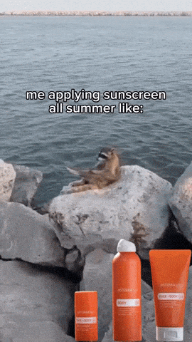 Raccoon applying sunscreen