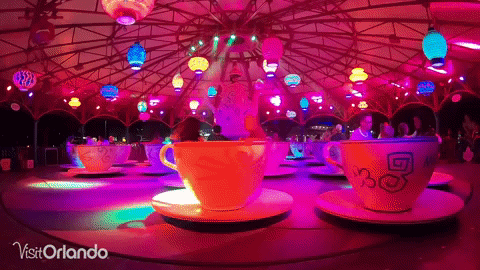 Magic Kingdom Fun GIF by visitorlando