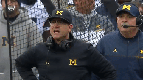 Image result for jim harbaugh mad gif