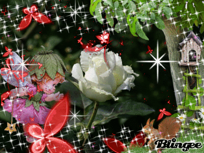 Beutiful beutiful gifs - find & share on giphy Beutiful beutiful gifs - find & share on giphy