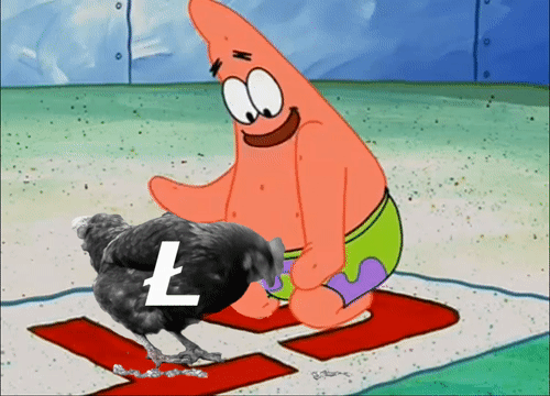 hodl