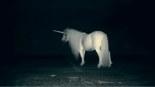 unicorn animated GIF