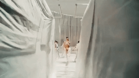 giphy.gif