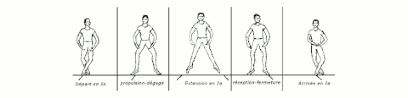 Danse Classique GIFs - Find & Share on GIPHY