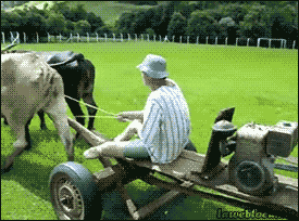 Lawnmowers Gifs Find Share On Giphy