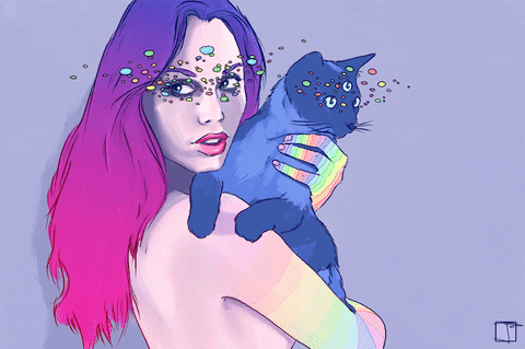 Kitten Art GIFs Get The Best GIF On GIPHY
